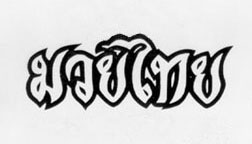 Muay Thai Logo