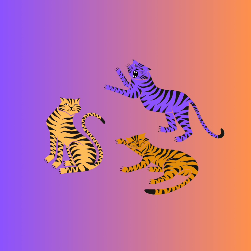 3 Tiger die für das EmpowerMINTA-Training Stärke zeigen